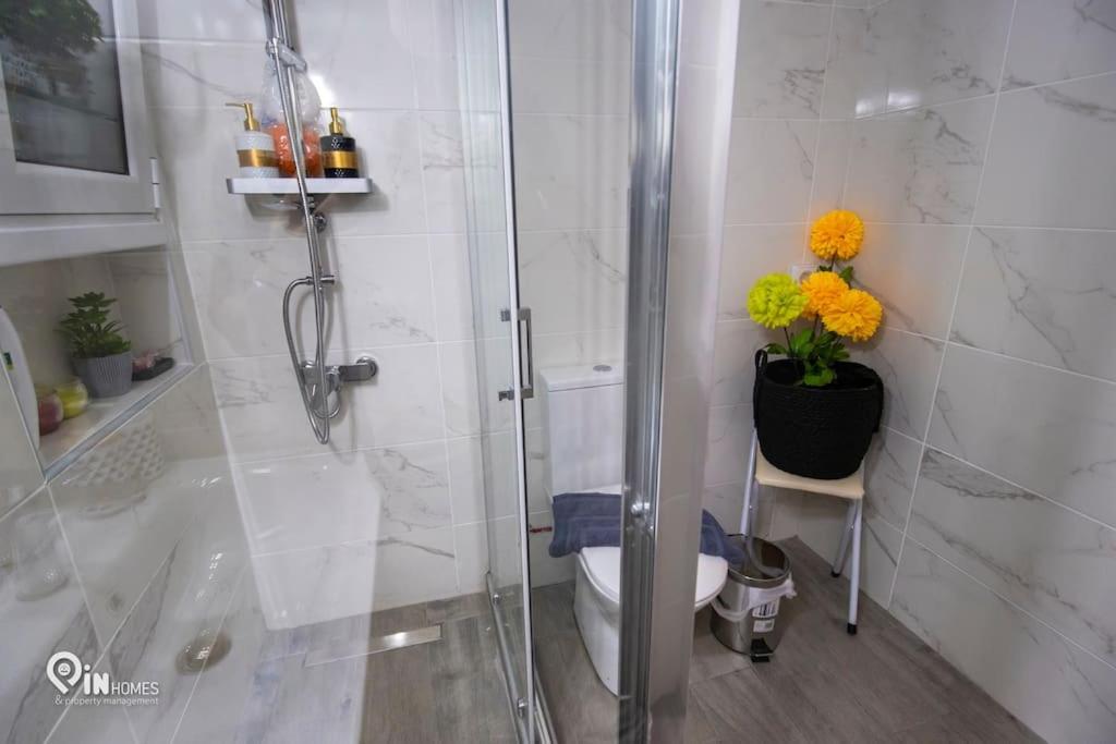 'sophia's' Athenian Apartment Athens